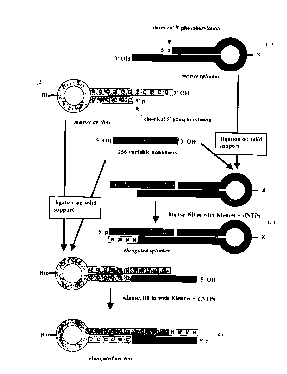 Une figure unique qui représente un dessin illustrant l'invention.